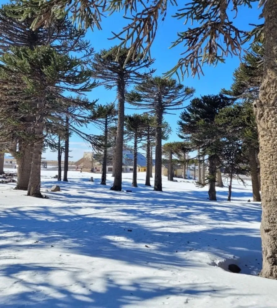 Cuánto cuesta disfrutar de la nieve a pocos kilómetros de Roca  