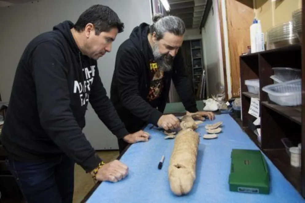 ¡Increíble!: científicos argentinos descubrieron los registros humanos más antiguos de Sudamérica