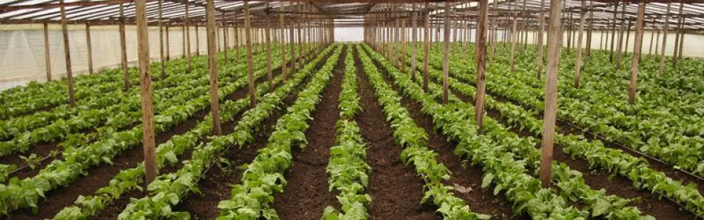 Abrieron las inscripciones a una nueva capacitación para productores de la región