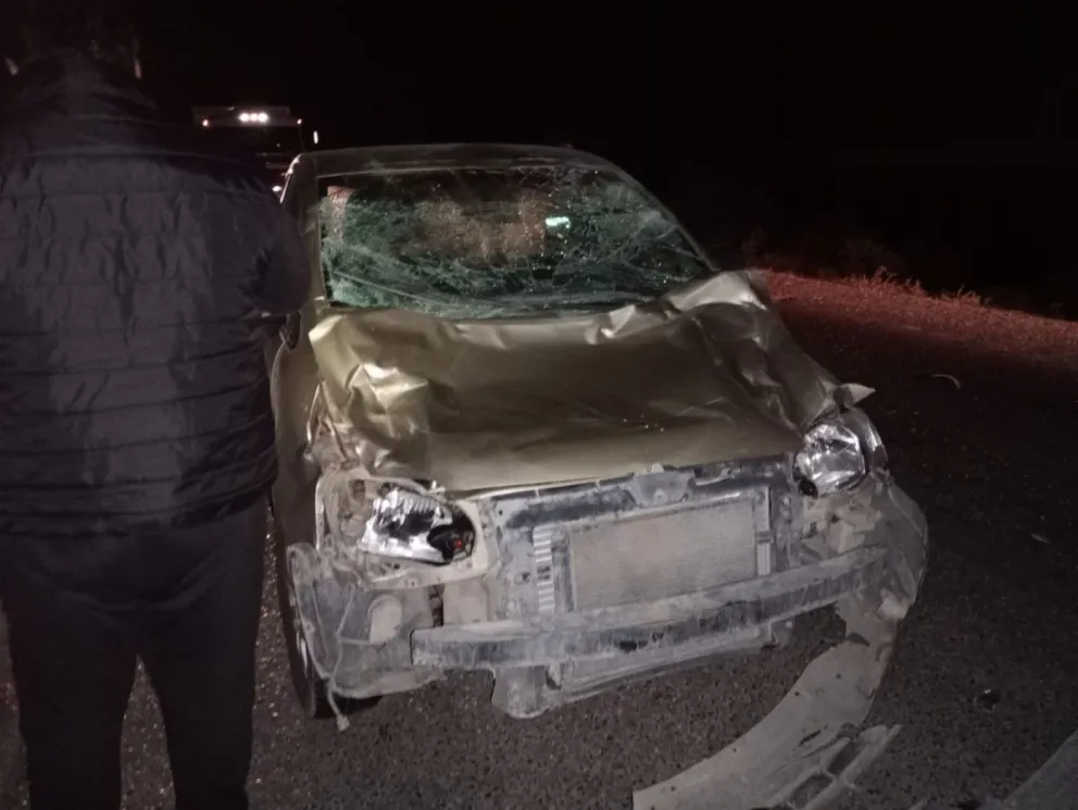 Accidentes en Ruta 22 y Ruta 6 al esquivar animales