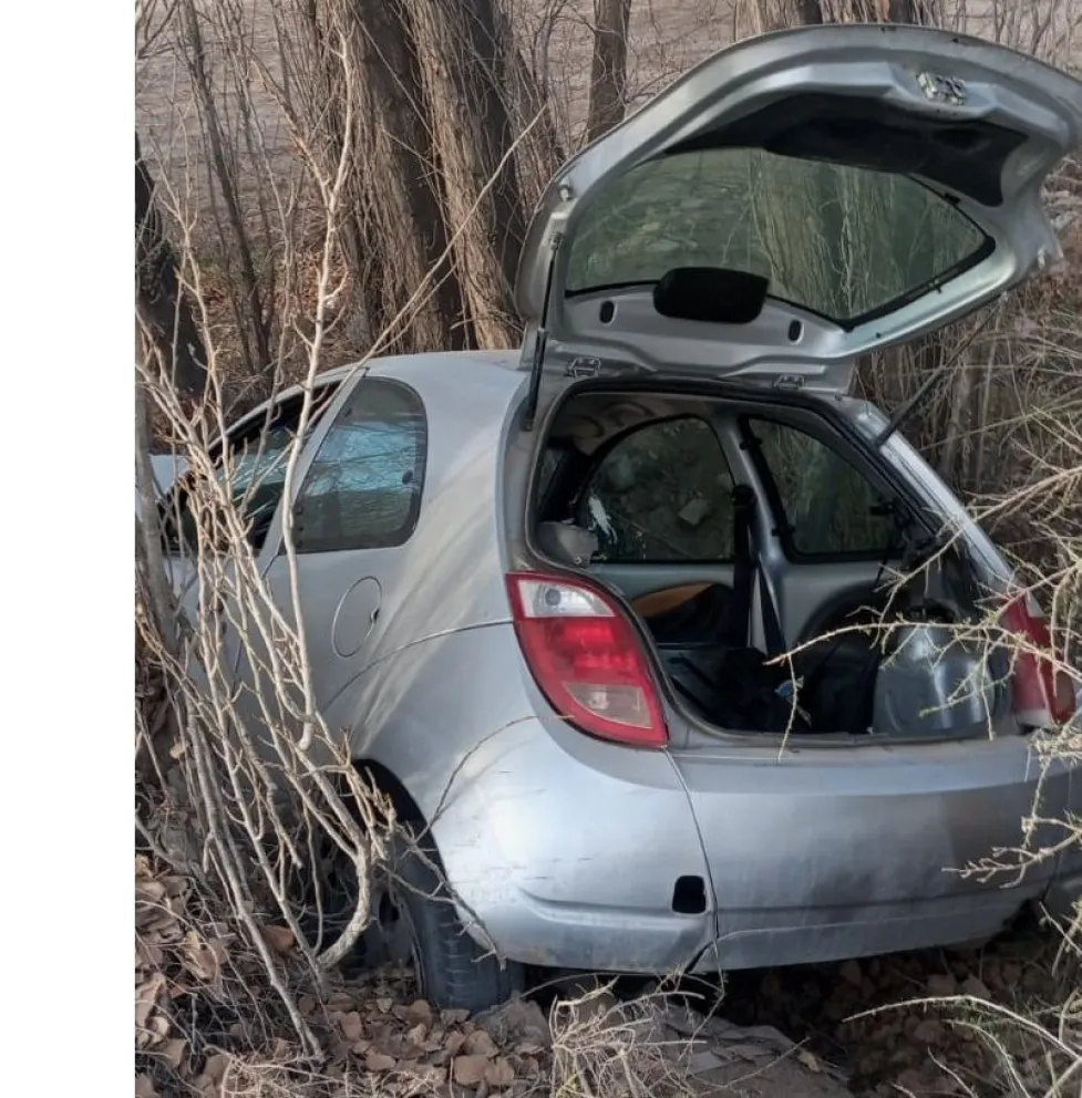 La conductora de un Ford K chocó contra un árbol y tuvo que ser llevada al hospital- Foto (Gentileza).