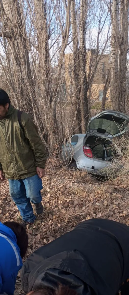 auto contra &aacute;rbol