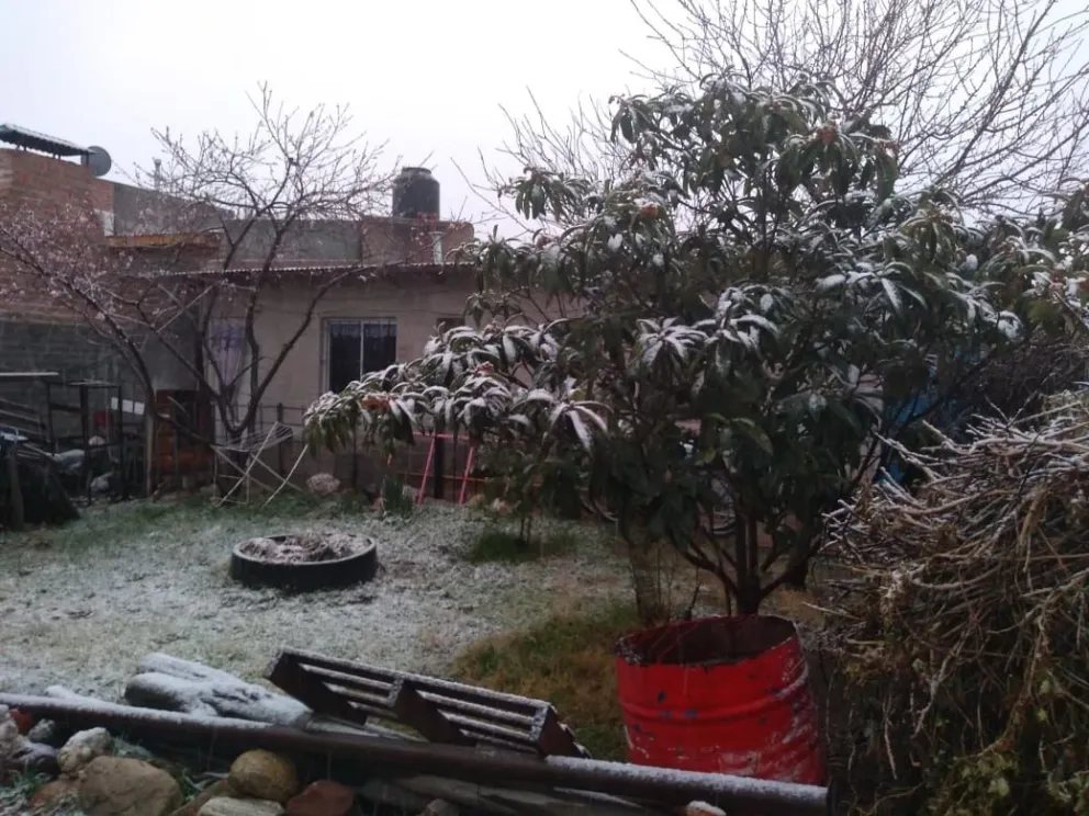 VIDEO: cae nieve en la ciudad y los videos y fotos empiezan a inundar las redes