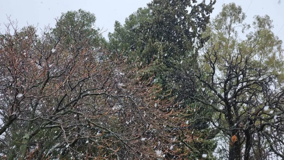 Clima: así estará el tiempo en Roca después de la nevada