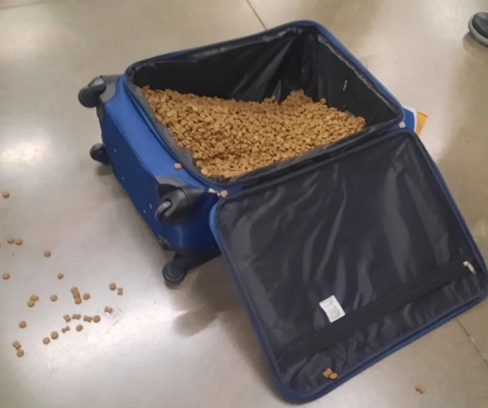 El Penitenciario ocultaba la carne robada entre alimento balanceado. Foto (Gentileza).