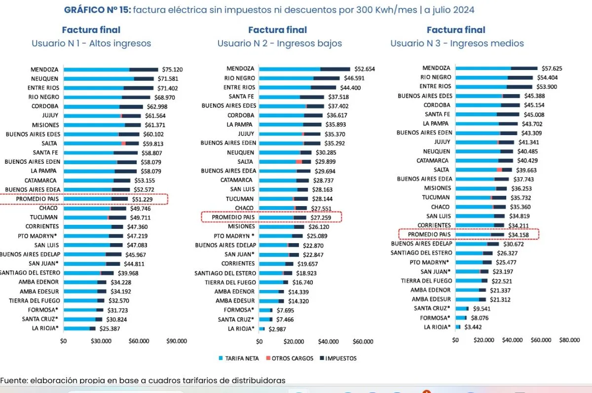 informe UBA- Conicet