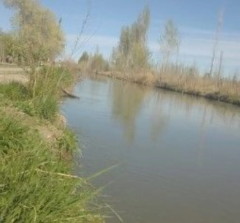 Insólito: se tiró al canal de riego para escapar de un robo
