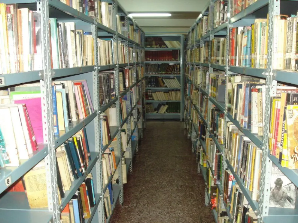 Día nacional de las bibliotecas populares: conocé que actividades se realizarán en Roca