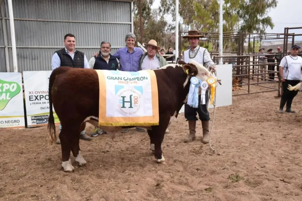 Terminó la 13° Expo Ganadera y Feria de Invernada del Alto Valle. (Foto NoticiasNet).