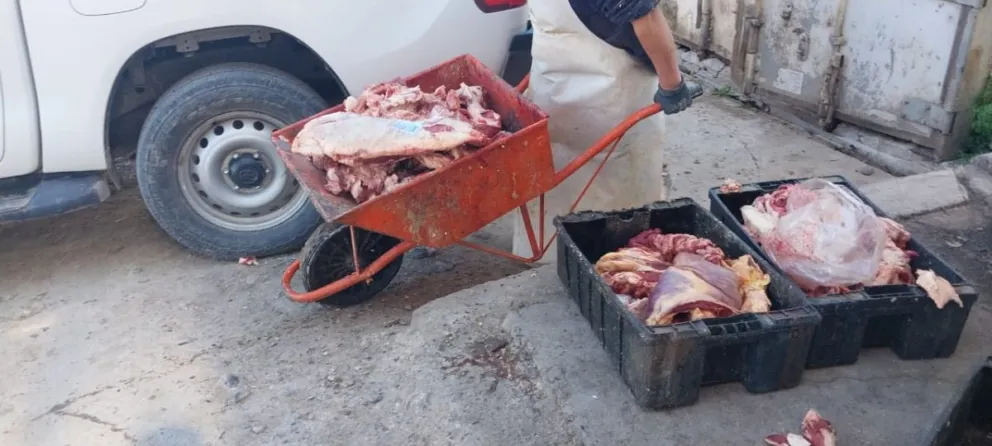 Incautaron 800 kilos de carne podrida y de faena clandestina en comercios locales