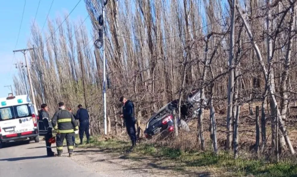 Accidente en la región: despistó y chocó por esquivar un perro