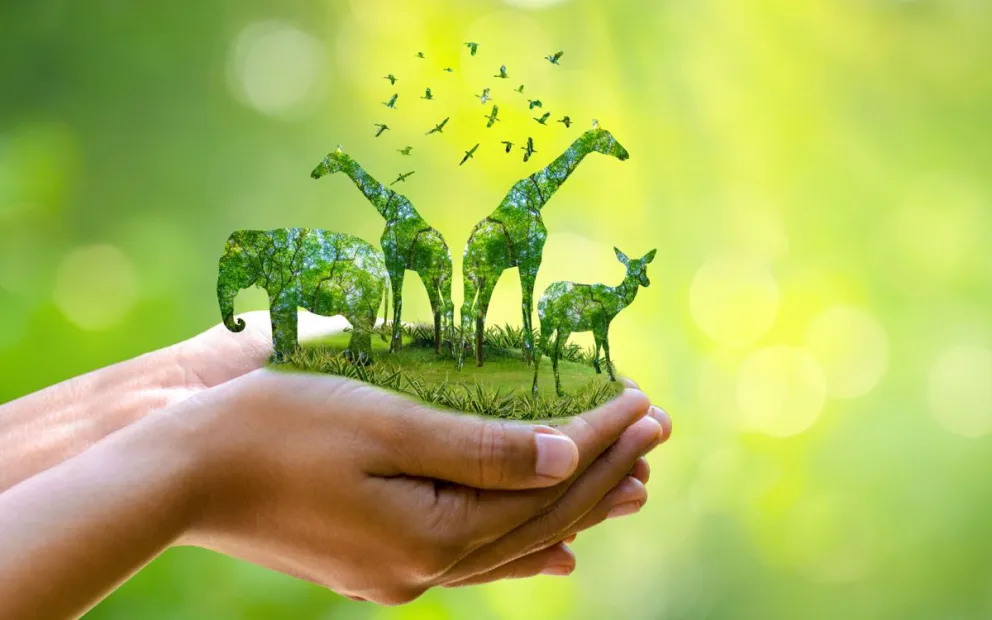 Día Mundial de los Animales: por qué se celebra cada 4 de octubre