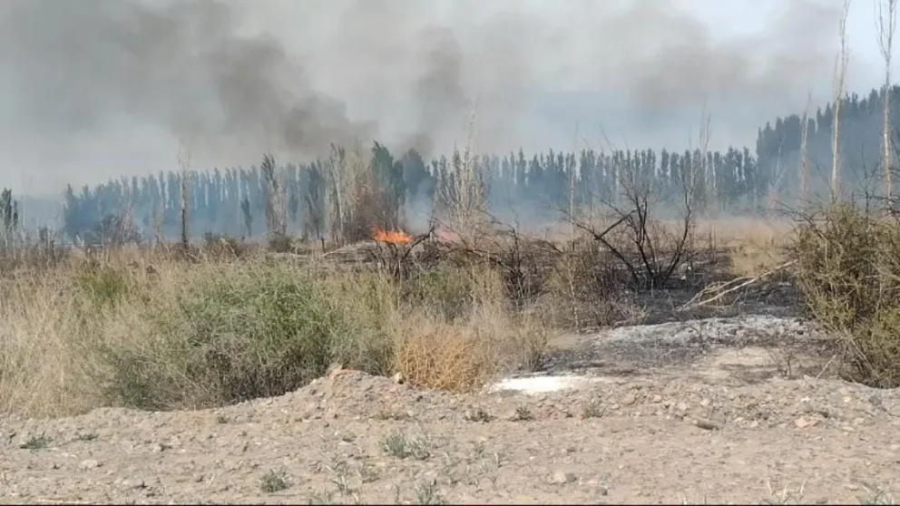 El incendio se desarrolla en un predio cercano al viejo zoológico roquense. Foto (Gentileza).