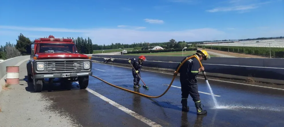 Perdió parte de su carga sobre la Ruta 22 y bomberos tuvo que limpiar