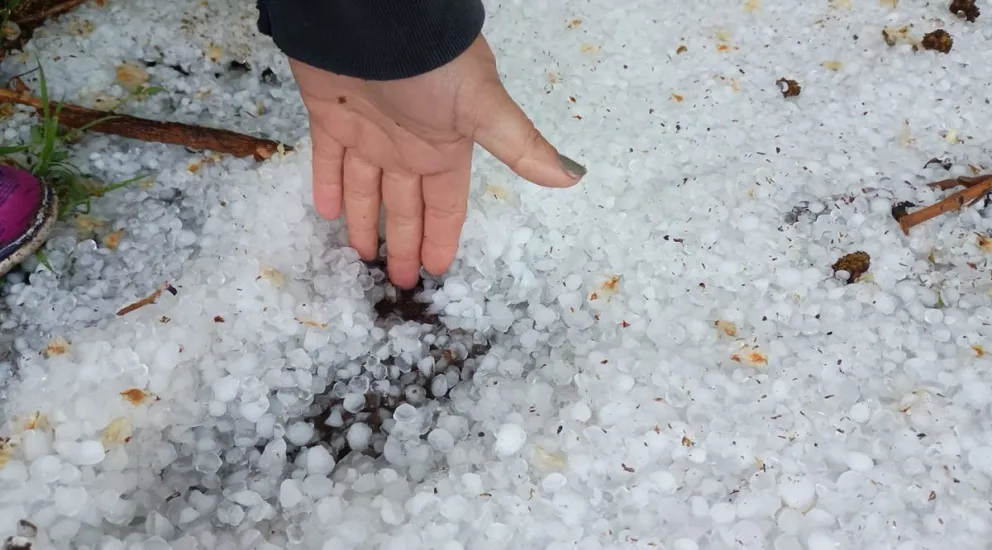 Alerta en las chacras: cayó granizo, ¿afectó a la producción?