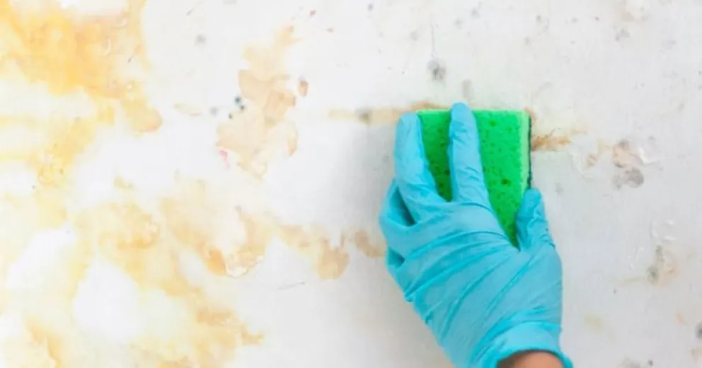 Eliminá las manchas de aceite de la pared con este simple truco casero 