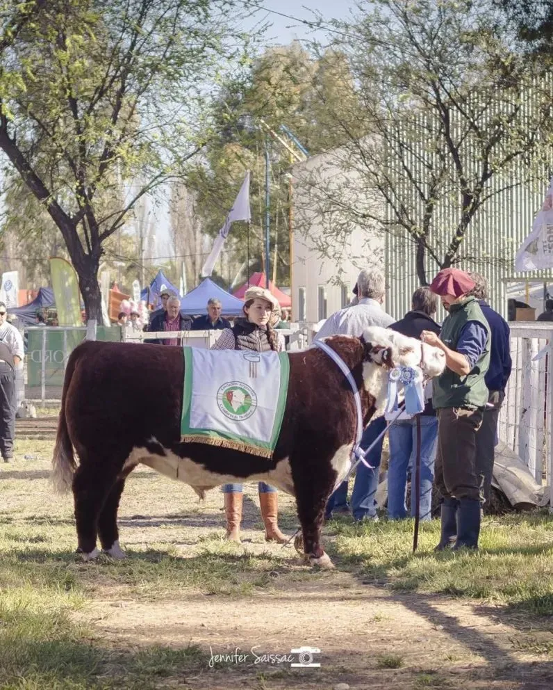 Se viene un evento en General Conesa que convoca al sector rural: exposición, venta y compra de animales únicos