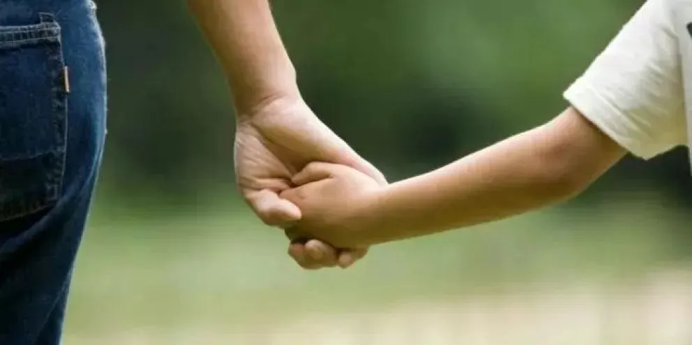 Gracias a los cambios legislativos hay un régimen simplificado en adopciones