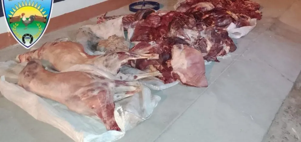 Faena clandestina: secuestran 150 kilos de carne de caballo y dos corderos en Paso Córdoba