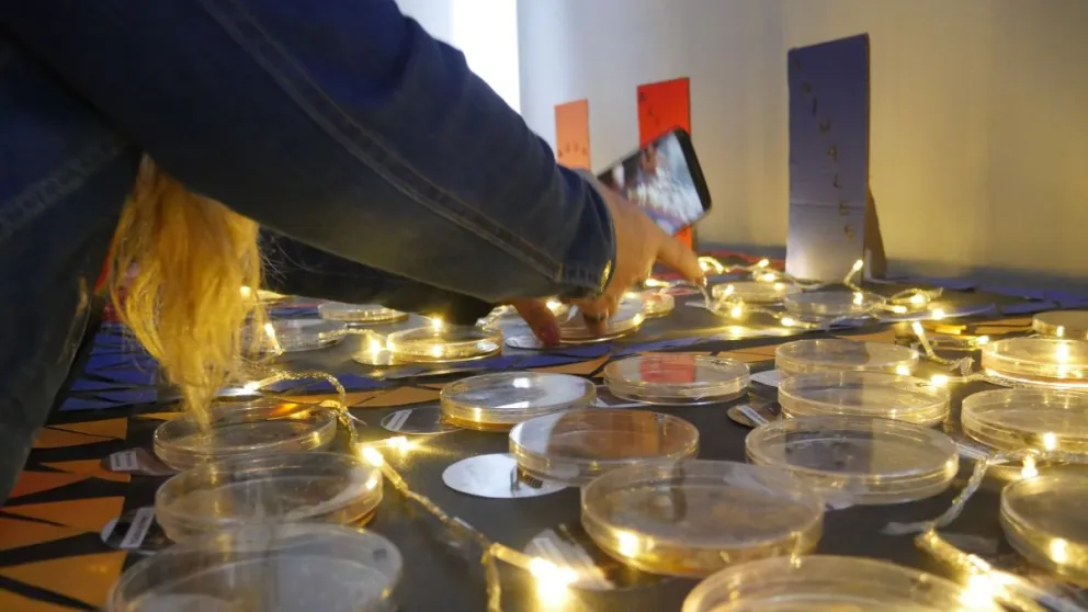 Vuelve la DivulgaFest, una oportunidad para conocer el increíble mundo microscópico