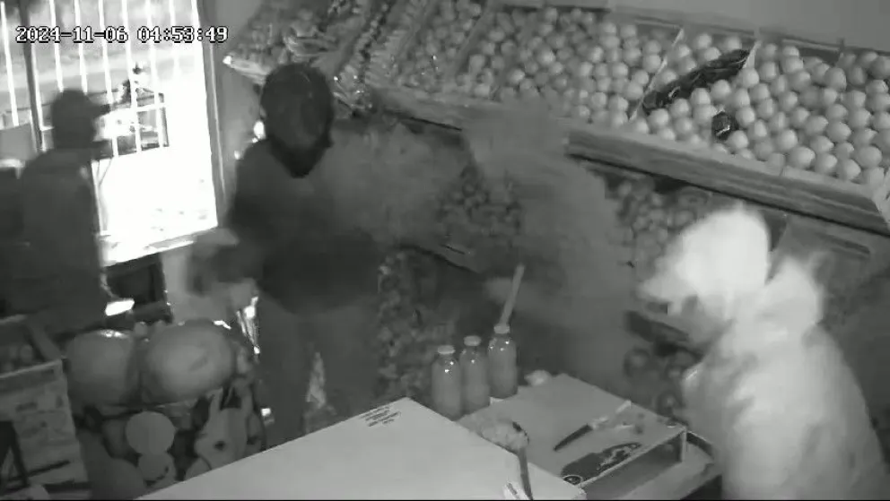 VIDEO: mirá cómo entre cuatro hombres asaltaron una verdulería en J.J. Gómez