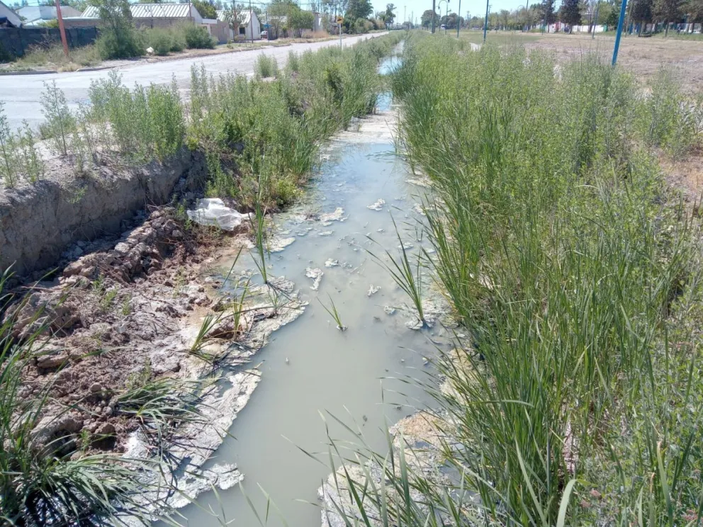 Cansados del olor nauseabundo de un desagüe, vecinos de la zona este renuevan sus reclamos