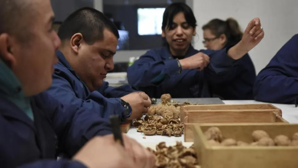 Feria inclusiva en la ciudad: productos y talento local para concientizar sobre la discapacidad