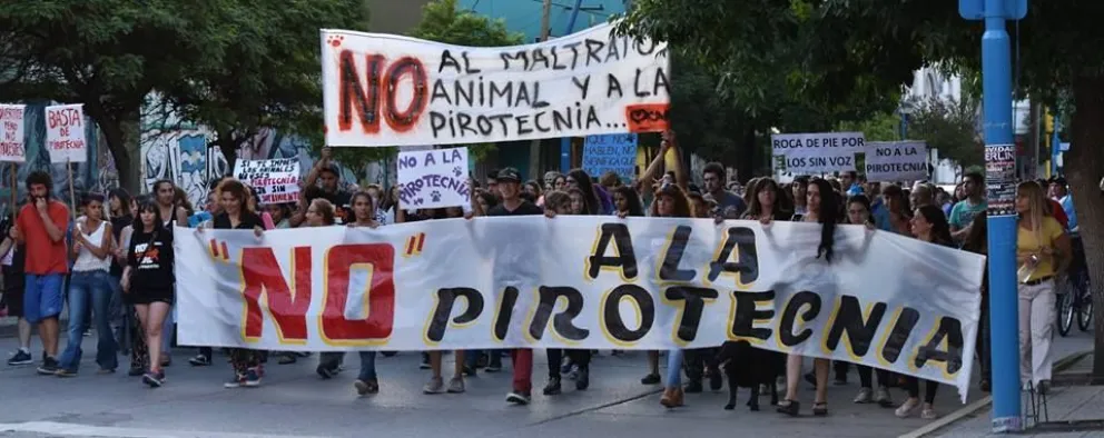 La agrupación Ranhu llevará a cabo un taller animalista, de RCP y primeros auxilios en perros y gatos