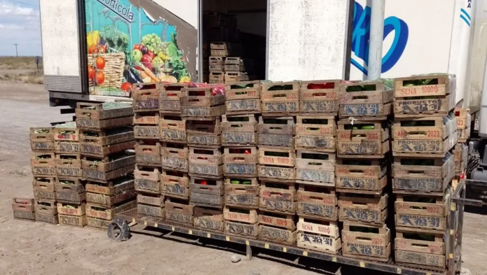 Traían 20 kilos de naranjas en el equipaje y los decomisaron en la región 