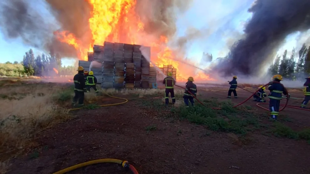 Incendio de bines en chacra de Moño Azul