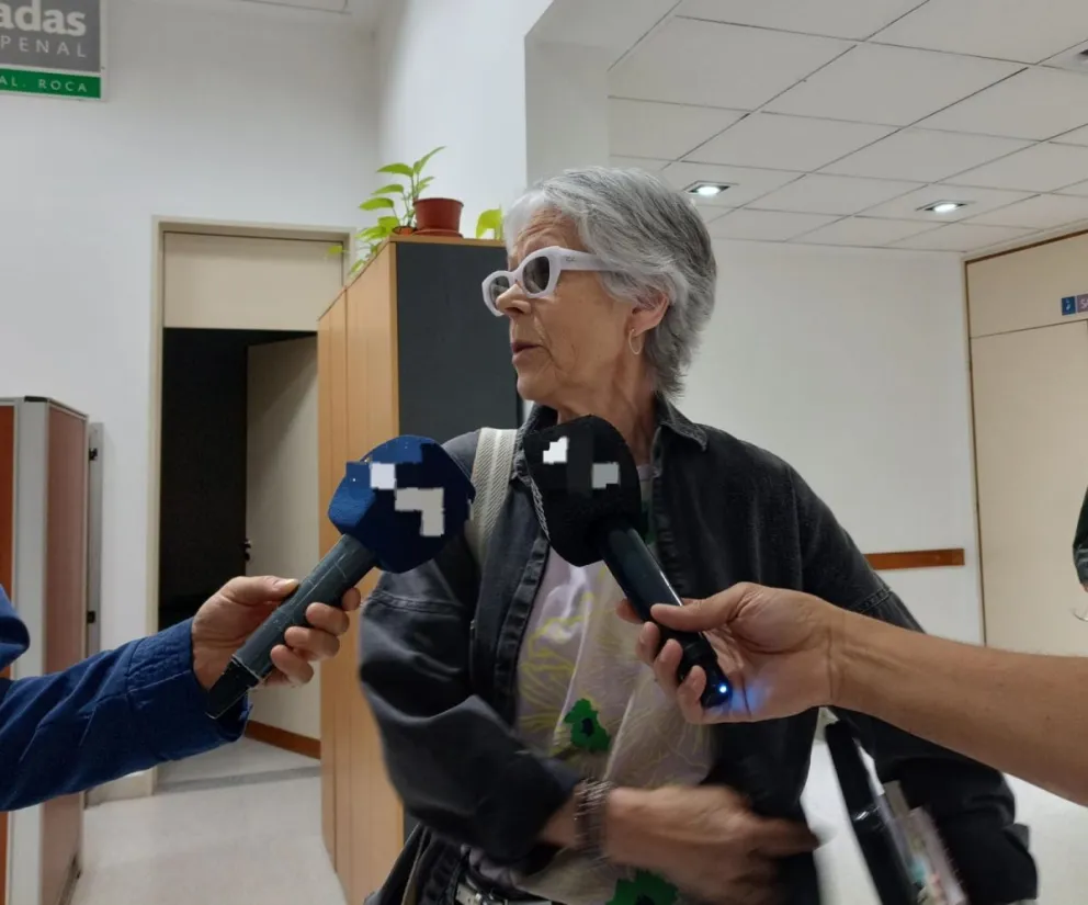 Estafa al Ipross: la abogada de tres de los condenados cuestionó las fallas de las tobilleras electrónicas y negó el riesgo de fuga  