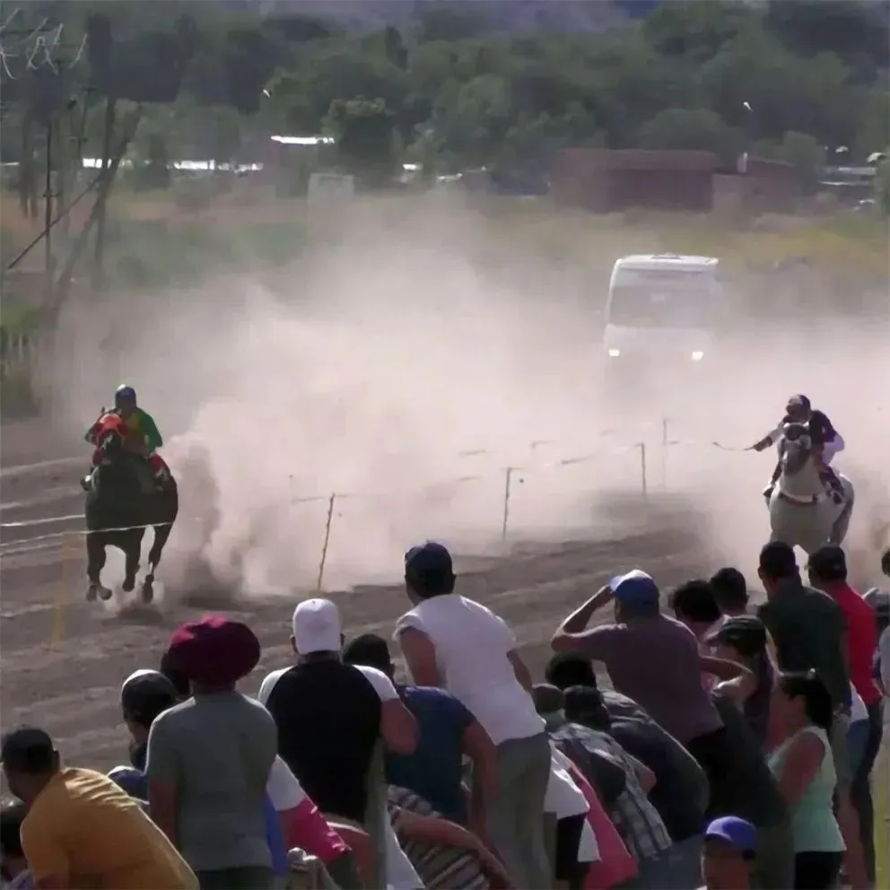 Murió un caballo en una carrera y el jockey se encuentra hospitalizado en Roca