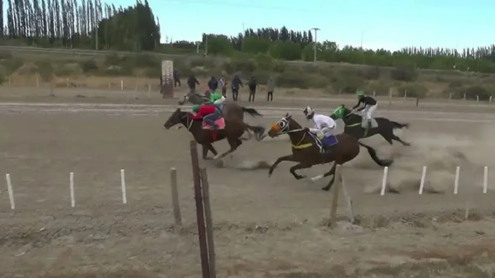 Trágica carrera de caballos en Regina: cómo es el estado de salud del jockey