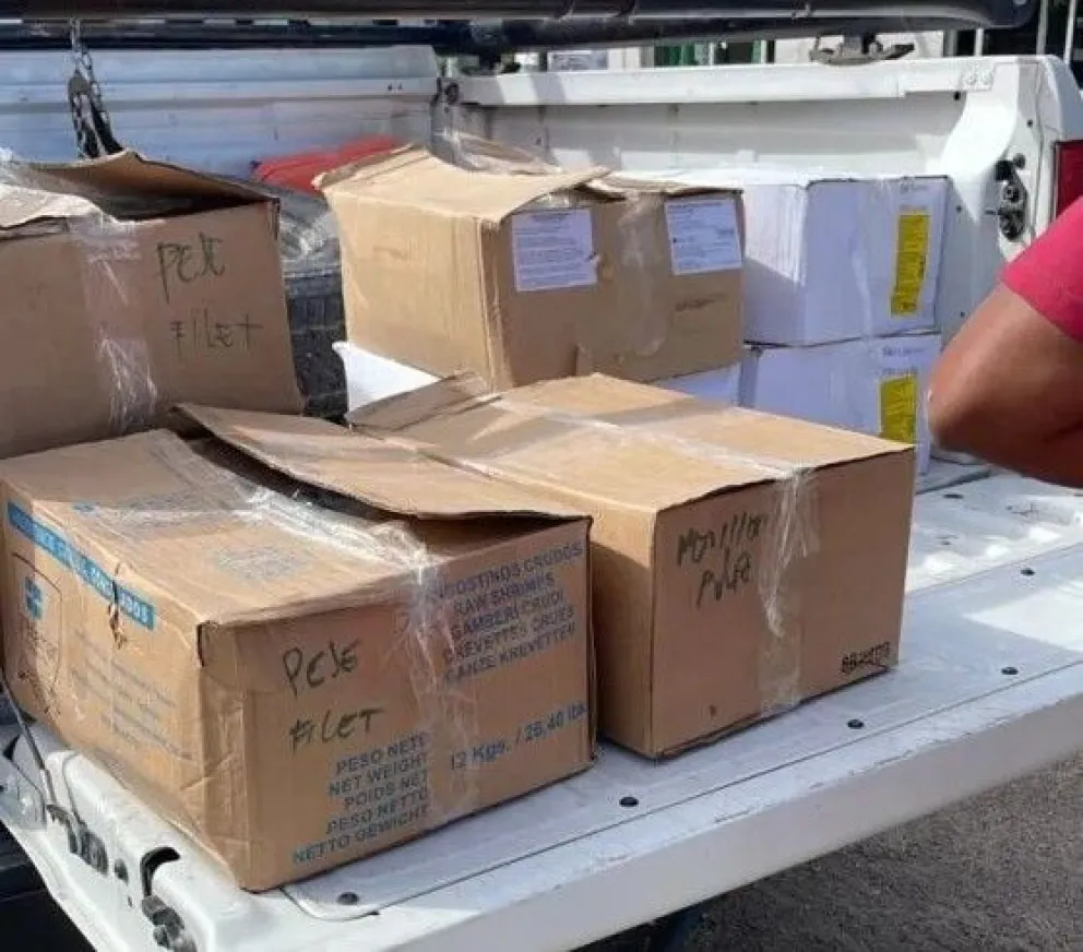 Decomisaron más de 70 kilos de pescado en el ingreso al Alto Valle 