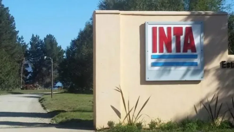 Fracasó el plan de Milei: el consejo directivo del INTA no autorizó el desguace del organismo
