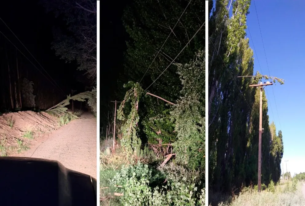 Lo que el viento nos dejó: destrozos en líneas de media tensión y cortes de luz en Roca
