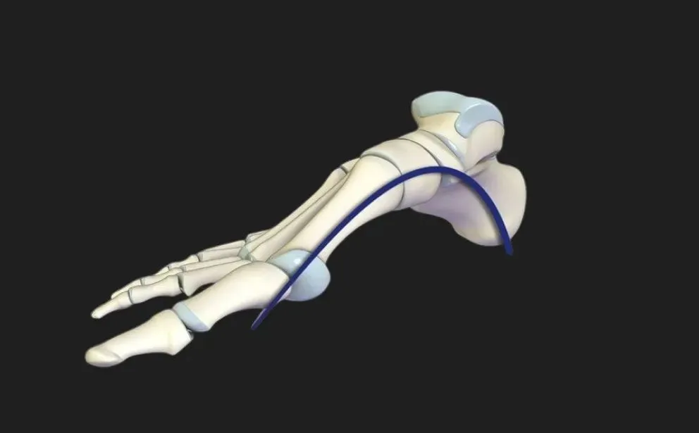 Nuevo estudio alerta sobre problemas en la columna vertebral de niños y adolescentes