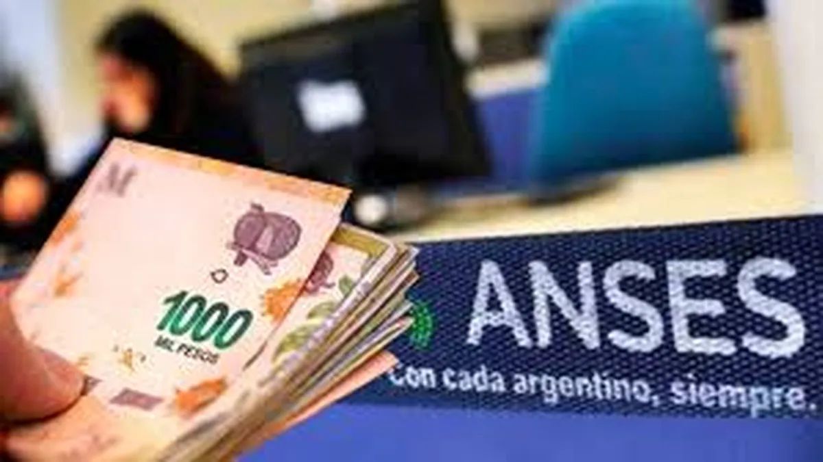 AUH y Tarjeta Alimentar: requisitos para cobrar en diciembre 2024