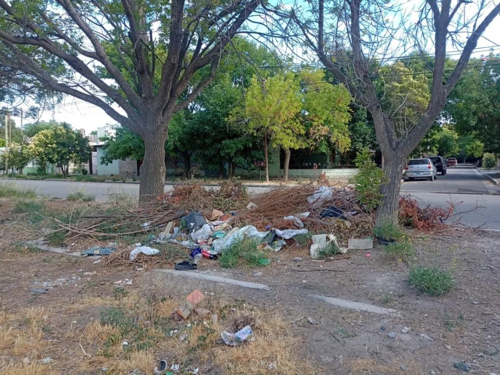 Basurales clandestinos: a pesar de las prohibiciones, siguen arrojando residuos en lugares indebidos