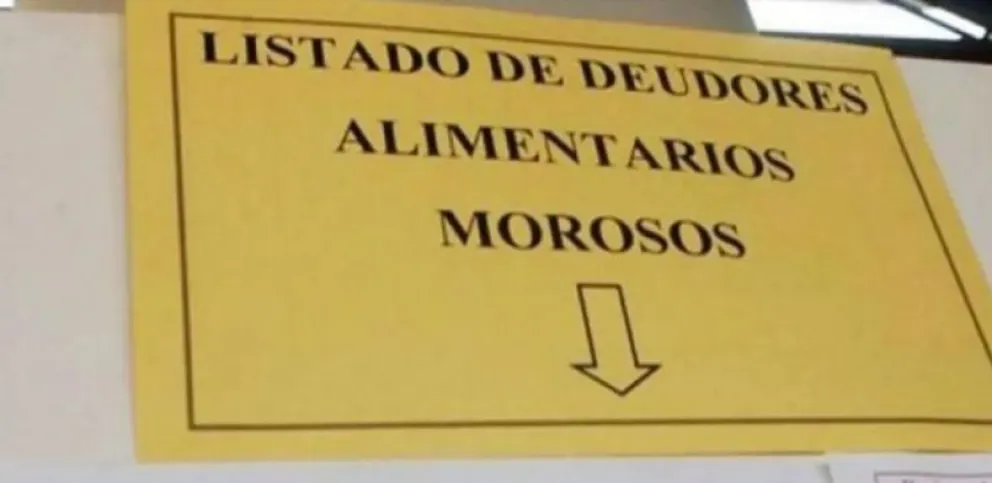 Hay más ingresos al Registro de Deudores Alimentarios: una realidad preocupante en Río Negro