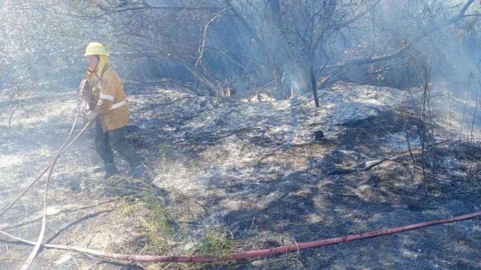 Incendio forestal afectó 10 hectáreas y puso en riesgo una vivienda en la zona rural