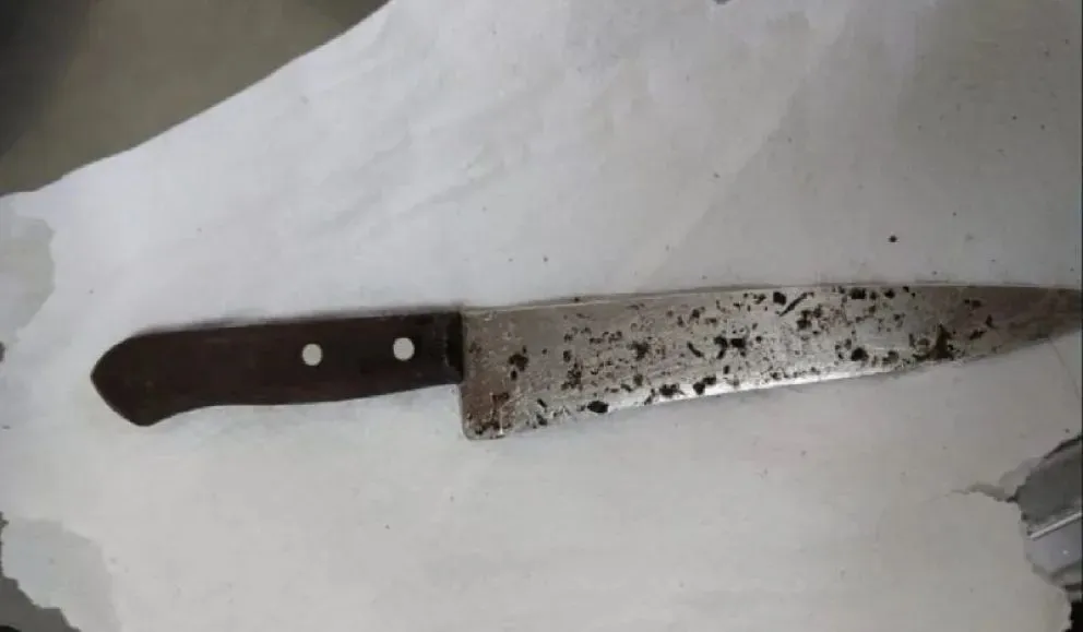 El agresor llevaba un cuchillo con el que amenazó a las enfermeras del CAPS de Mainqué. (Foto gentileza)
