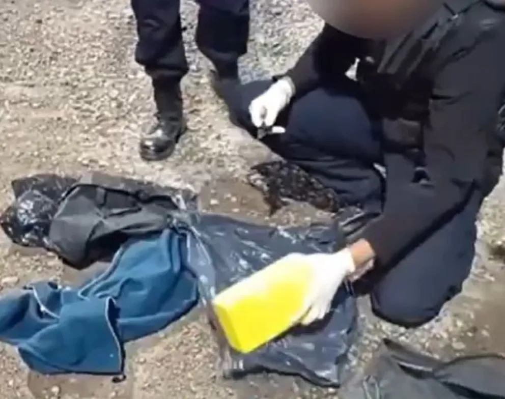 Las 15.000 dosis de cocaína eran transportadas en un micro con destino a Roca. Foto (Gentileza).