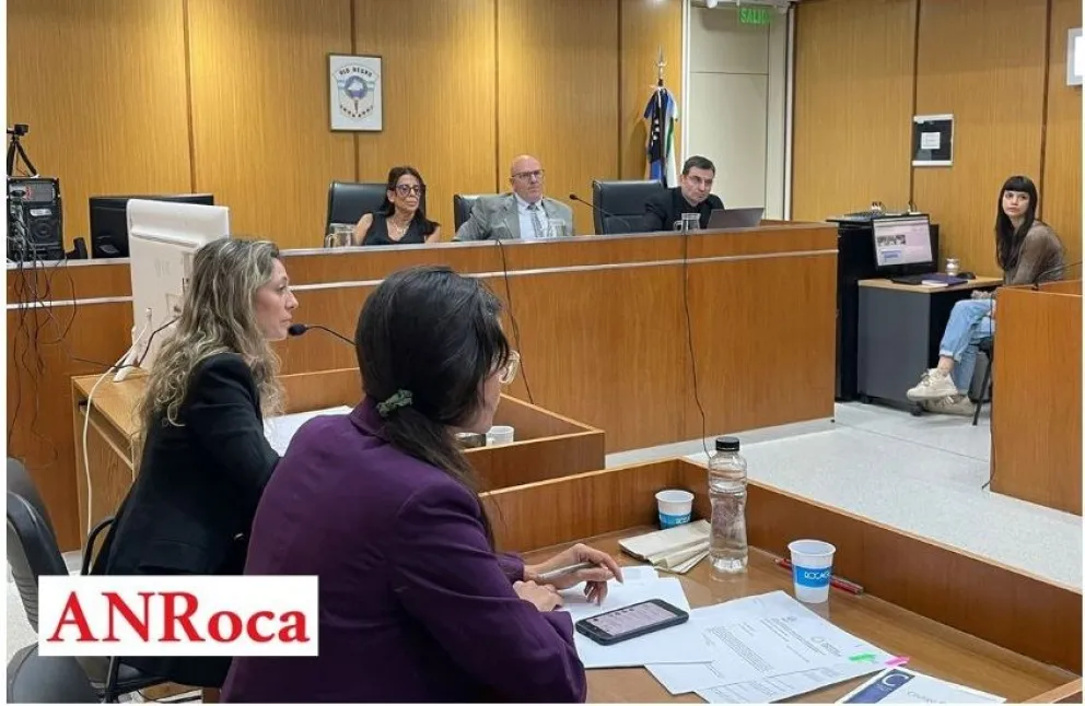 La querella pidió 25 años de prisión efectiva y la defensa 20, para Martín Guiñez. Foto (ANR).