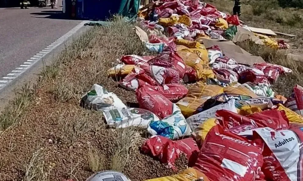 Decidieron donar las bolsas de comida para perros rescatados. (Foto 7enPunto)