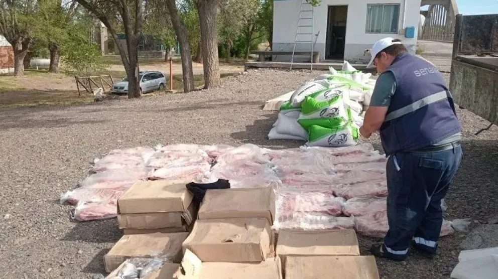 Por los riesgos para la salud que pudiera ocasionar el consumo de la carne, se dispuso la destrucción total. Foto (Senasa).
