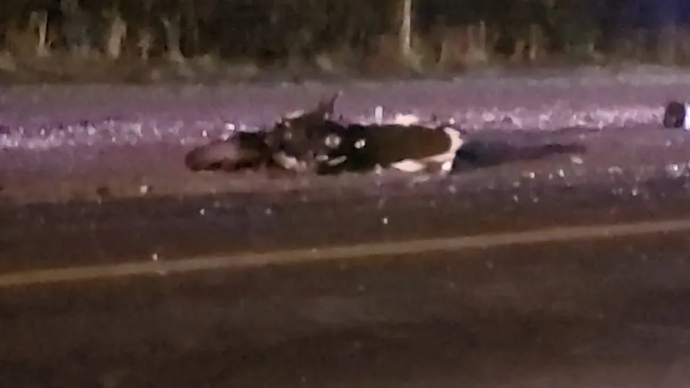 La moto Rousser era conducida por el joven godoyense que circulaba en dirección a Regina (Gentileza).