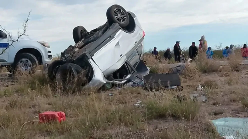 Impactaron en el kilómetro 204 de la ruta nacional, en cercanías a la localidad de Puelches. (Foto: gentileza Info Huella).