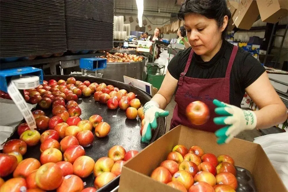 La reunión paritaria entre la CAFI y el sindicato de la fruta terminó sin definiciones. (Foto archivo)