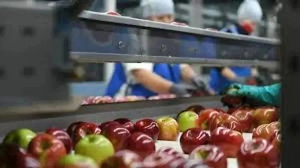 La negociación salarial para los trabajadores rurales y de la fruta en Río Negro y Neuquén sigue estancada. | Foto (archivo)
